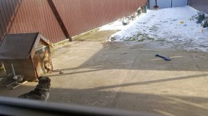 Ура мама приехала