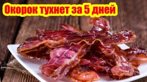 Как в 1547 году мясо могло сохраняться три года, если ваш окорок портится всего за пять дней?