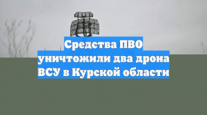 Средства ПВО уничтожили два дрона ВСУ в Курской области