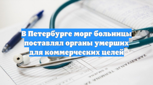 В больнице Петербурга продавали органы умерших людей коммерческим клиникам