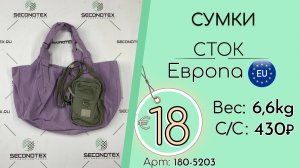 180-5203 #3270 Сумки (с этикетками) Всесезон Европа