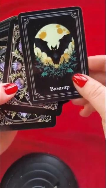 день глазами тьмы