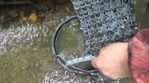 Самородное Золото в старом русле реки!