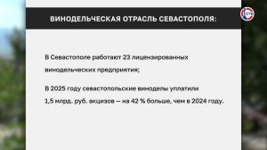 На поддержку виноделов Севастополя направят более 500 миллионов рублей