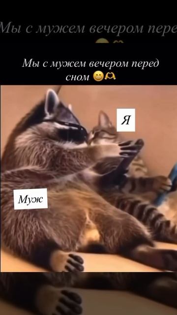 Это точно😁 смотреть онлайн