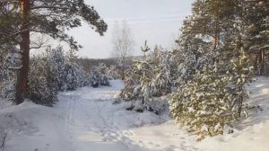 ЗИМНИЙ ДЕНЁК