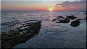 23 июня 2024 г.