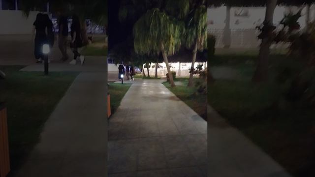 Отель Sol Palmeras Куба Варадеро