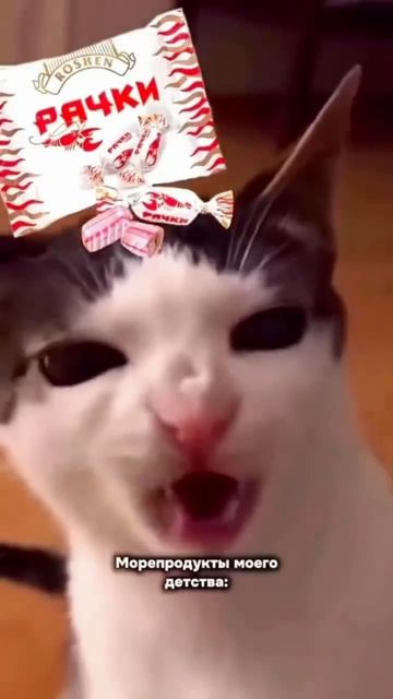 Кто помнит это ?