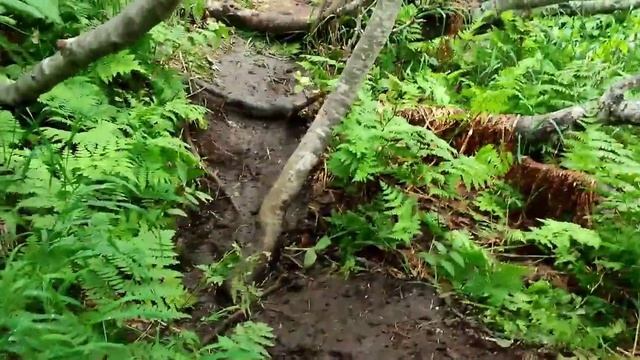 Камчатка, подъём на Маар 06.08.23.