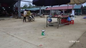 Harvesting Many Chickens for Market - Villagers Help Each Other Plant New Rice Season