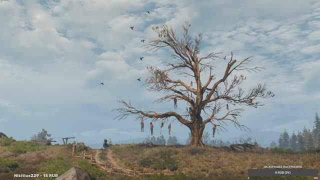 Ведьмак 3: Дикая Охота // НОВАЯ ИГРА + // БОЛЬ И СТРАДАНИЯ #3 Ведьмак 3: Дикая Охота // НОВАЯ ИГРА + // БОЛЬ И СТРАДАНИЯ #3