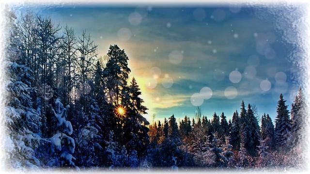 Волшебный, зимний, вечерний  лес-футаж