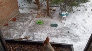 суета у всех