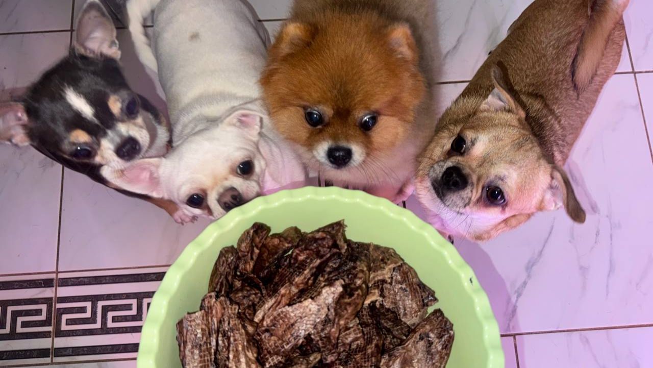 Сушим Говяжье Легкое — отличное лакомство для собак.