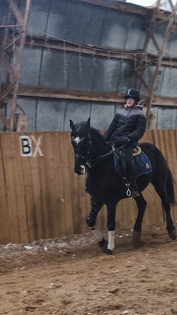 Вика и Рокас Вэлл, переход с галопа в шаг.