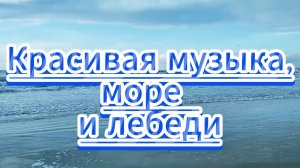 Красивая музыка, море и  грациозность лебедей...