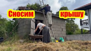 В Португалии мы сносим крышу домика и рубим деревья / vlog из Португалии