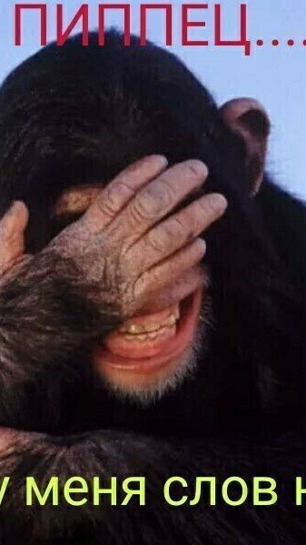 Подборка Улетного юмора 😉🤭🫣😆