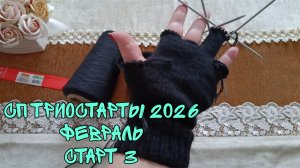 СП ТРИОСТАРТЫ 2026|ФЕВРАЛЬ|СТАРТ 3|МУЖСКИЕ ПЕРЧАТКИ СПИЦАМИ|УЧАСТНИК 5