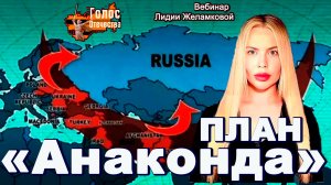 План «Анаконда» - вебинар Лидии Желамковой