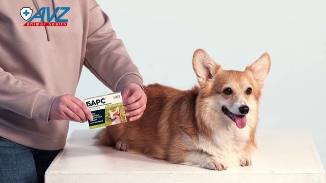 Барс КАПЛИ ИНСЕКТОАКАРИЦИДНЫЕ для собак 10-20 кг