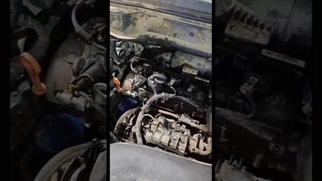 HAVAL владельцы все показывают и негадуют ,наверное насмотрелись автоблогеров ,а после купили смотреть онлайн