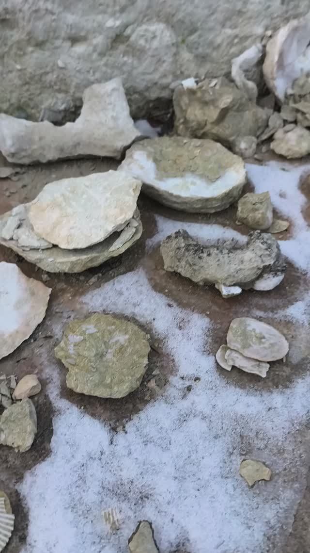 Хитрости поиска окаменелости Крым