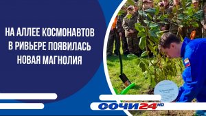 На аллее космонавтов в Ривьере появилась новая магнолия