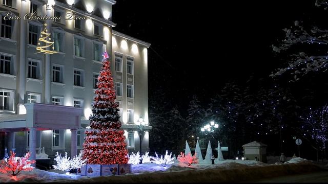 Ель_световая_хамелеон_Южно-Сахалинск_СССР