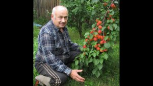 Конференция Железова В. К.  на ресурсе Ольги Корябкиной от 31.01.2026. Часть 2.