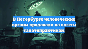 В Петербурге человеческие органы продавали на опыты танатопрактикам