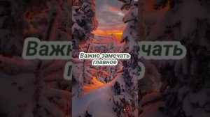 VID_20260206_211821_908.mp4