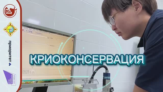 КРИОКОНСЕРВАЦИЯ семени элитных баранов- производителей 🧊