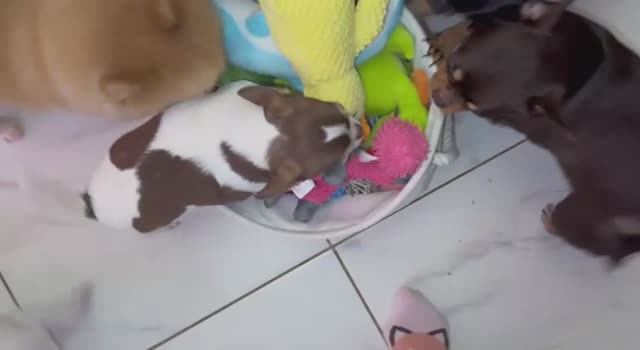 Я собираю игрушки, они разбирают, все по плану.