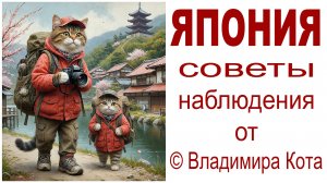 ЯПОНИЯ:  Некоторые мои СОВЕТЫ и НАБЛЮДЕНИЯ (из контекста фильмов)