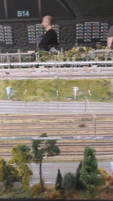 1000009538.mp4Санкт -Петербург.06.02.2026г.