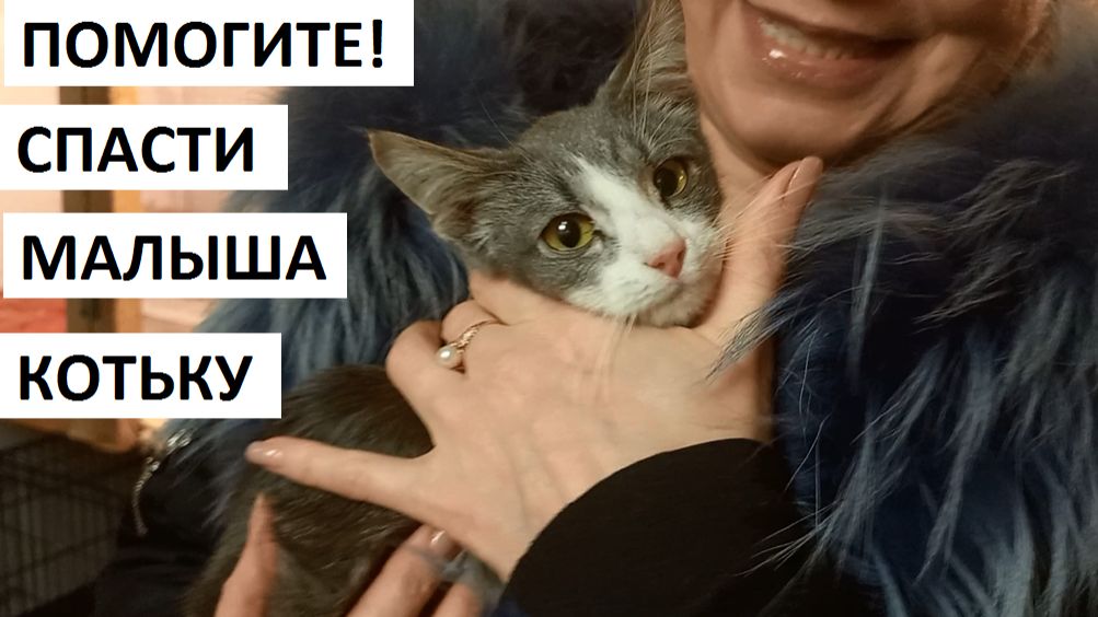 Просьба о помощи. смотреть онлайн