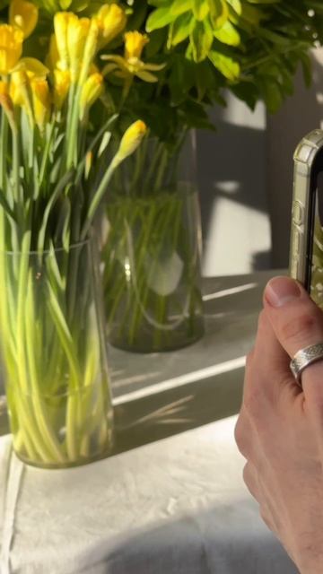 Весна зимой в FP