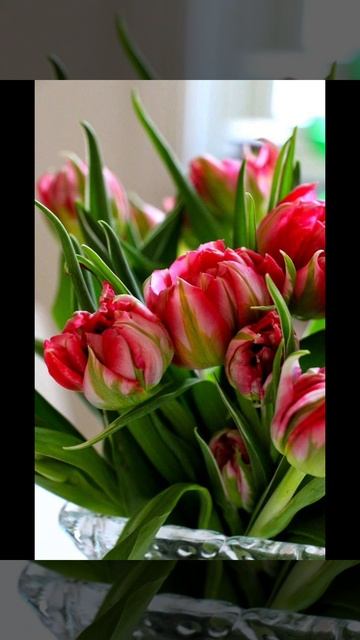 Хочу весну! ( 6 февраля)