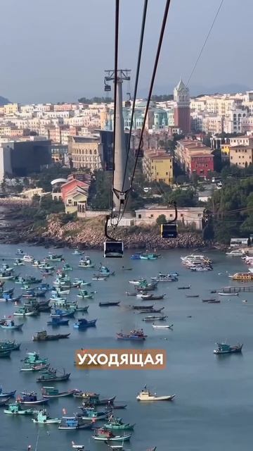 VID_20260206_194038_639.mp4