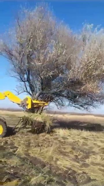 Корчеватель Крокодил