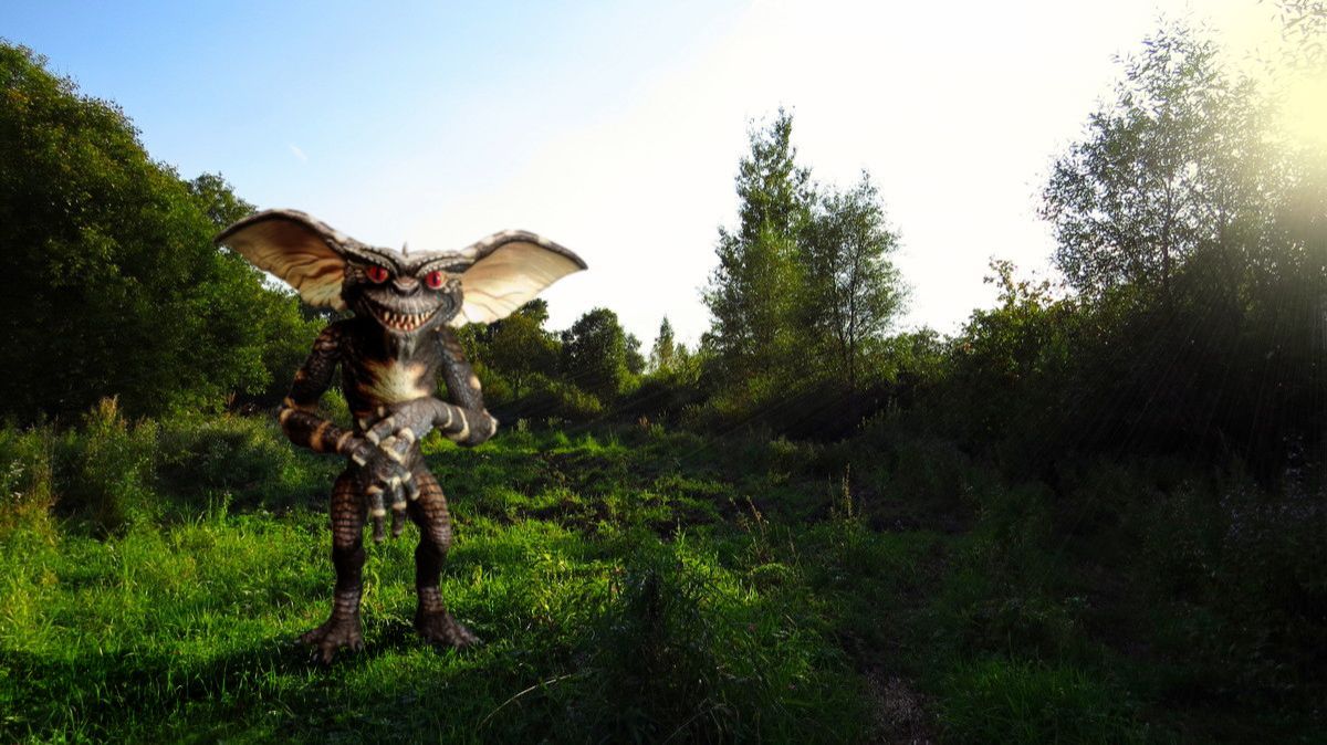 Август. Природа.