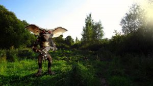 Август. Природа.