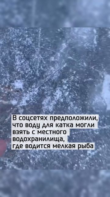 Каток с сюрпризом