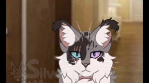 Коллаба с кучей квшников #2