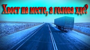 Хвост на мест а голова где... $1671