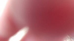 6 часть слежка