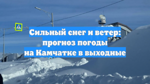 Сильный снег и ветер: прогноз погоды на Камчатке в выходные