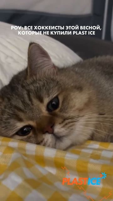 POV: 🌸 этой весной будут грустить те, кто не купил синтетический лёд PLAST-ICE